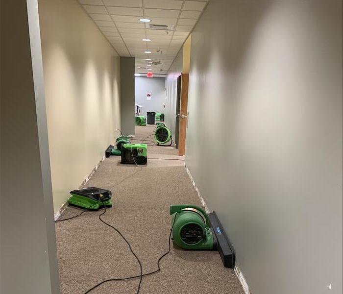 equipment drying corridor in a building, carpet on floor