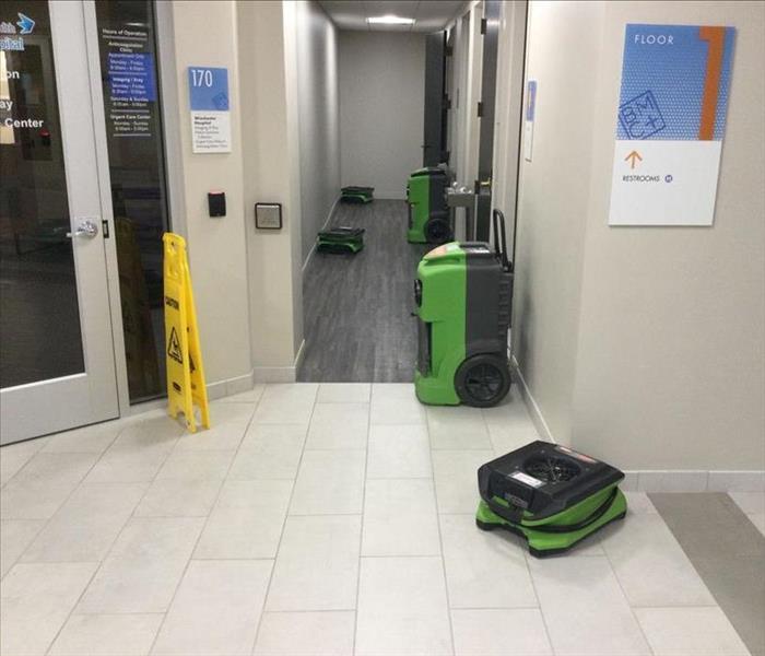 dehumidifier and air movers