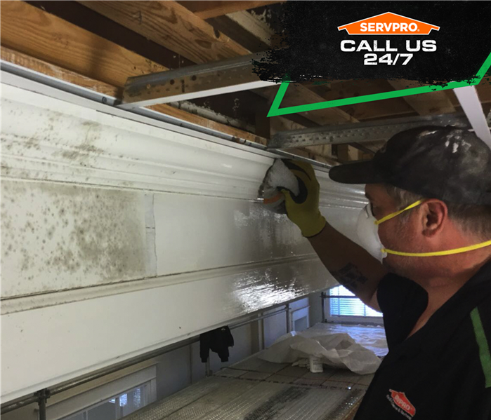 tech wiping mold off ceiling trim