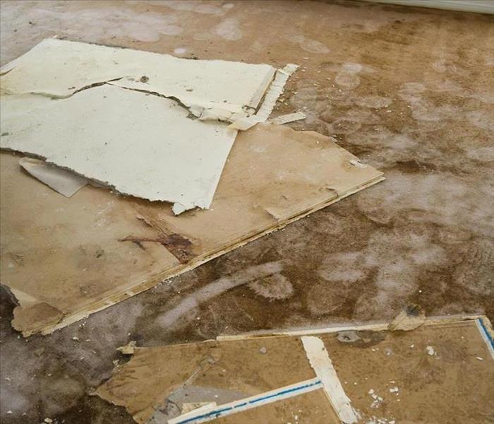 Wet drywalling on wet carpeting