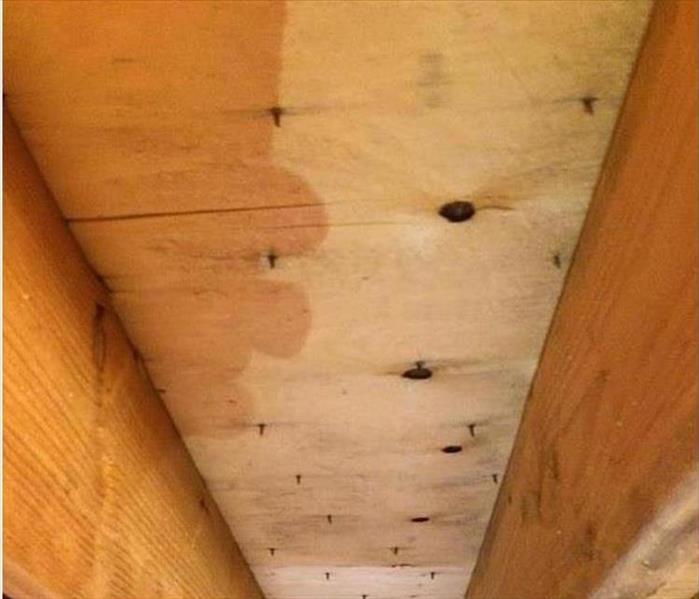 subfloor showing water penetration