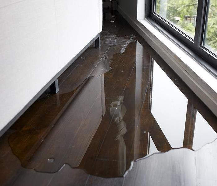 Water on hardwood flooring next to a window.