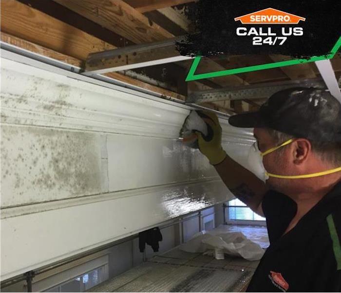 tech wiping mold off ceiling trim