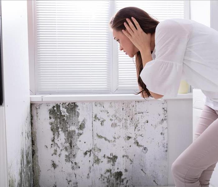 mold damage to a wall